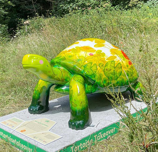 5. Suntera Jersey sponsors a large tortoise in Durrells Tortoise Takeover - Home, for even the smallest web